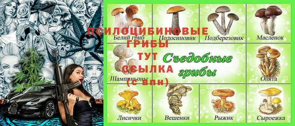 стаф Волоколамск