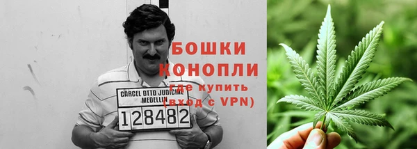 амф Володарск
