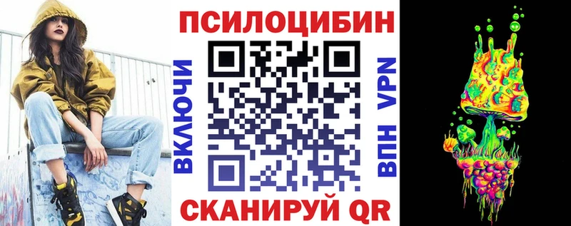 ссылка на мегу tor  Талица  Псилоцибиновые грибы Psilocybe 